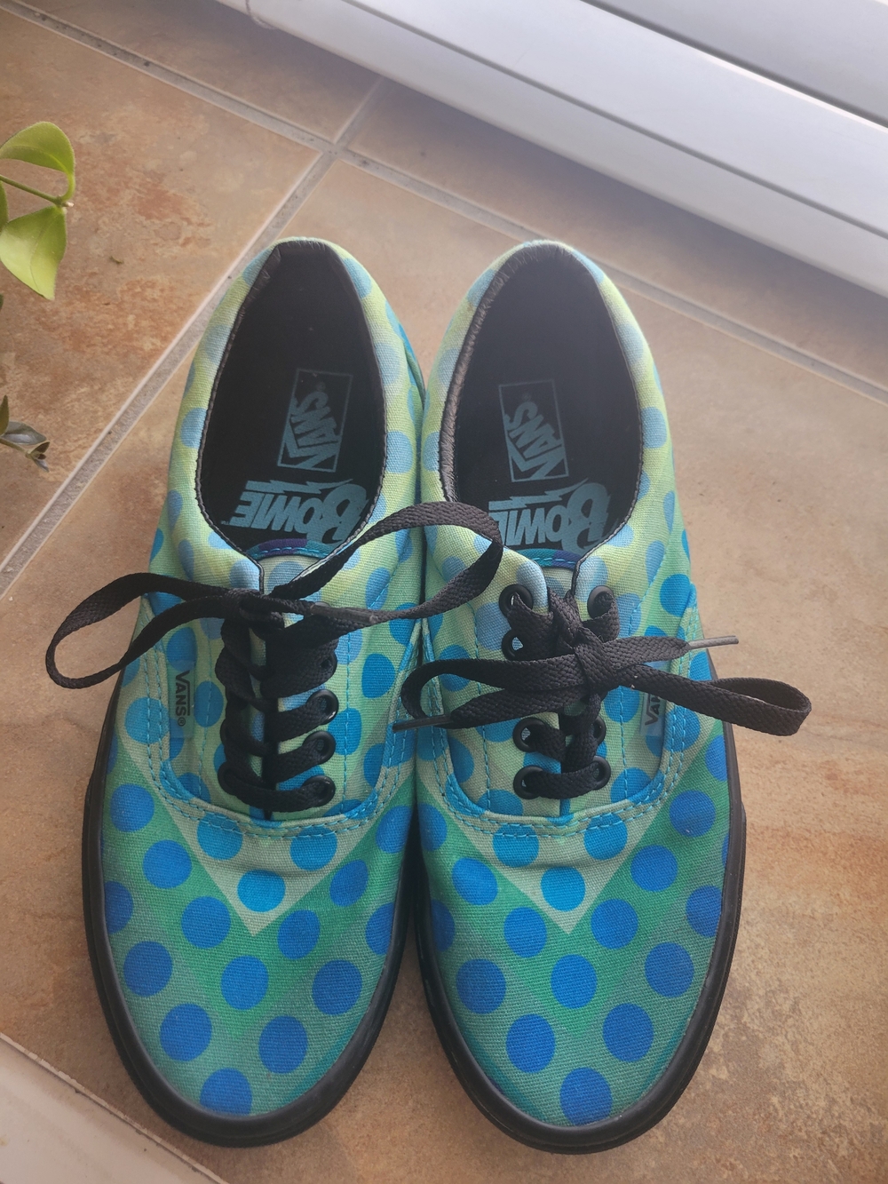 Vans x David Bowie "Space Oddity"  shoes